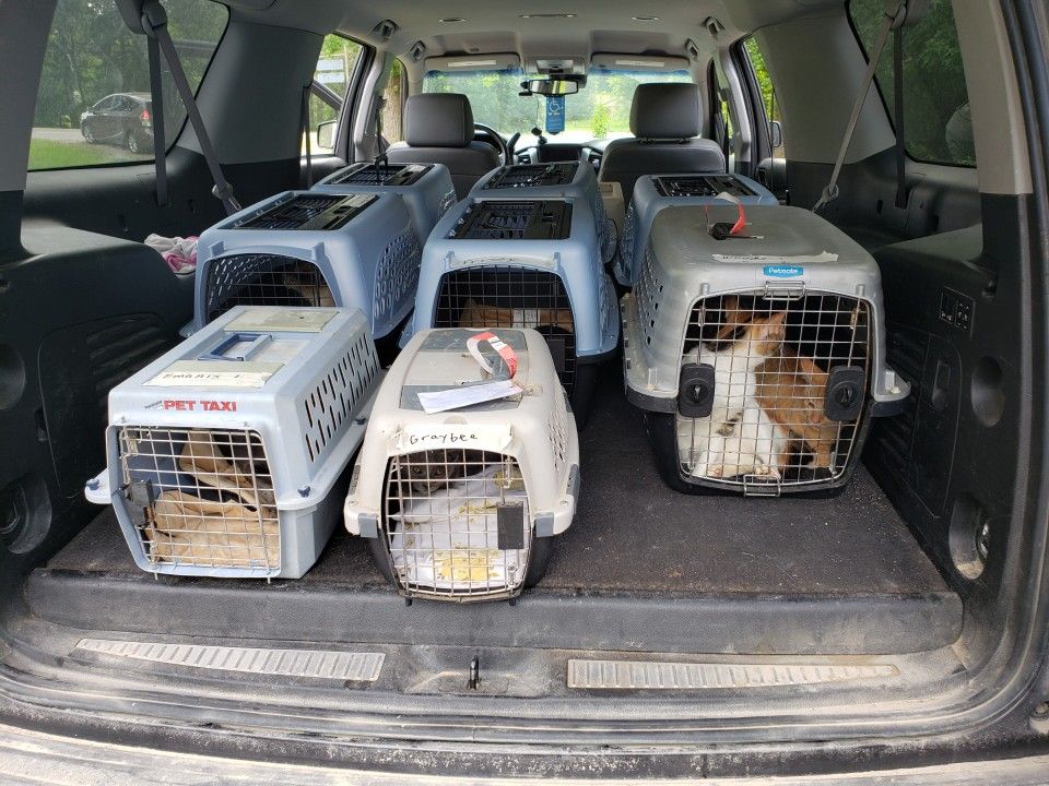 Field Rescue